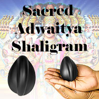 Sacred Adwaitya Shaligram